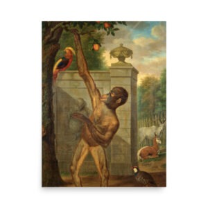 Giclée: Vintage Kunstdruck; Orang-Utan, der einen Apfel pflückt